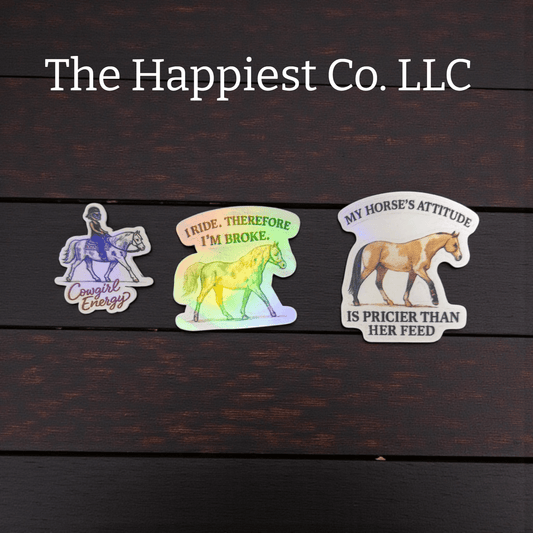 Mystery Sticker Pack – 6 Random Vinyl Stickers - Music City Acrylics