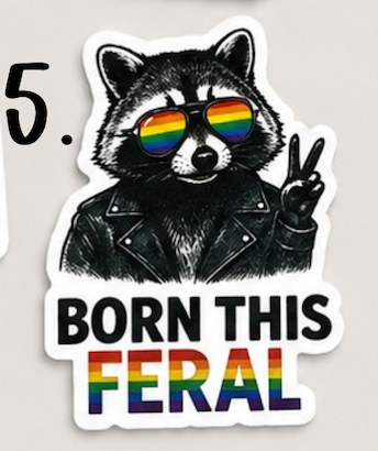 Pride Raccoon Sticker Pack – Funny LGBTQ+ Vinyl Stickers | Waterproof Decals | Queer Humor Stickers | Laptop, Water Bottle, Tumbler Stickers