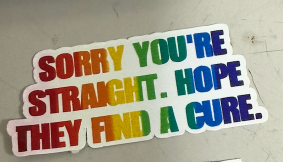Pride Raccoon Sticker Pack – Funny LGBTQ+ Vinyl Stickers | Waterproof Decals | Queer Humor Stickers | Laptop, Water Bottle, Tumbler Stickers