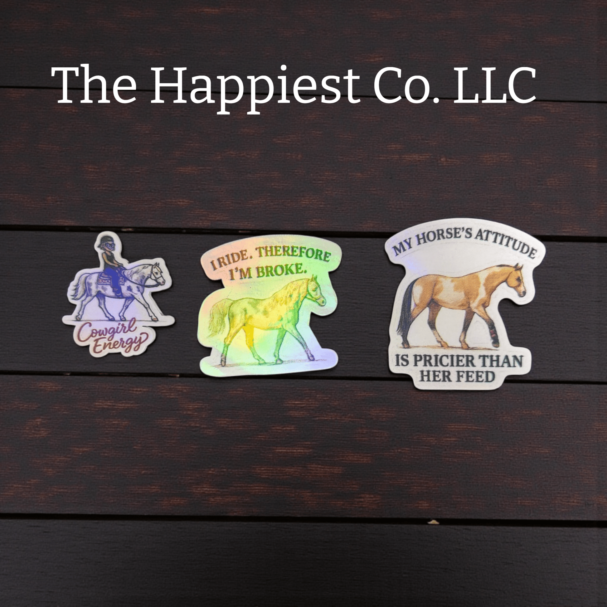 Mystery Sticker Pack – 6 Random Vinyl Stickers - Music City Acrylics