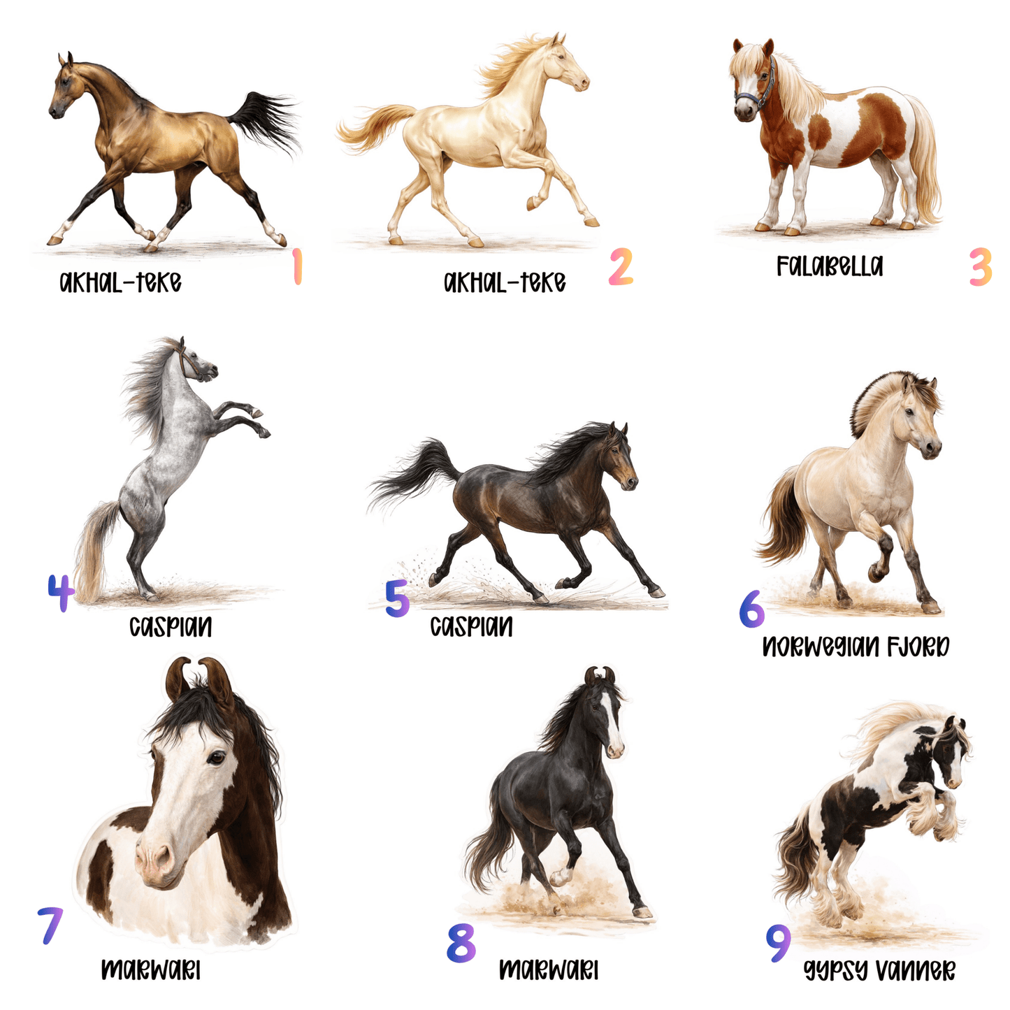 Rare Horse Breeds Sticker Collection – 9 Hard‑to‑Find Favorites - Music City Acrylics