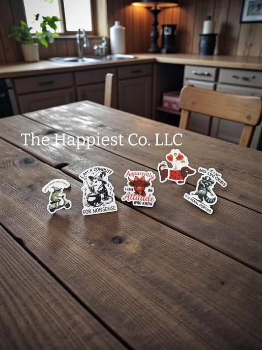 Sticker Pack – Set of 6 | Themed Vinyl Stickers for Laptops, Journals, Tumblers & More - Music City Acrylics
